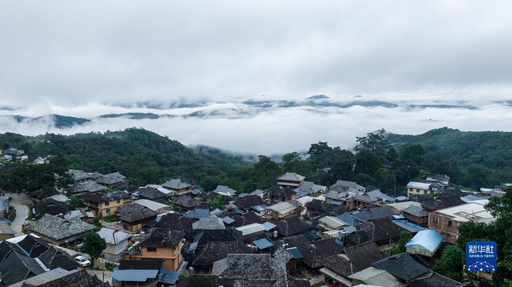 beamng手机版下载